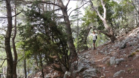 Rückweg oberhalb der steilen Außenküste