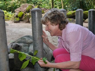Schildkröten-Fütterung
