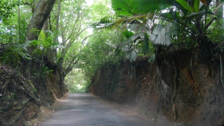 Hauptstraße im Süden