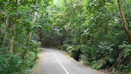 unterwegs in die Berge im Norden