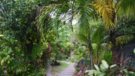Garten unseres Quartiers Cocotier du Rocher