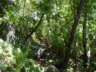 weiter zur Anse Cocos