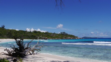Anse Cocos
