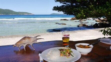 Octopus Curry, Anse Banana