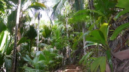 Natur pur im Fond Ferdinand