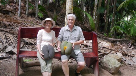 Überall - Coco de Mer