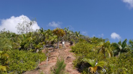 Aufstieg zum Aussichtspunkt