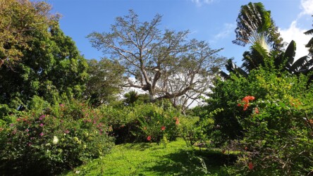 Jardin Botanique de Deshaies
