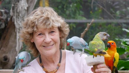 Saint Martin, Kleine Antilen Herta und Ihr Fanclub