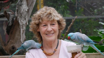 Wer knabbert an meiner Halskette?