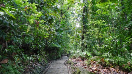 Wanderung zur Cascade aux Ecrevisses