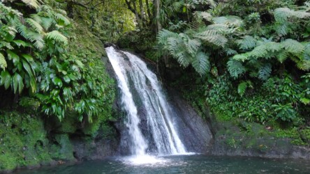 Cascade aux Ecrevisses