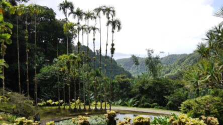 Jardin de Balata in den Bergen
