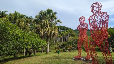 Gartenanlage der Habitation Clément