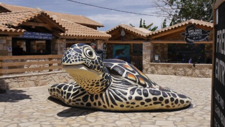 Sea Turtle Rescue & Information Centre