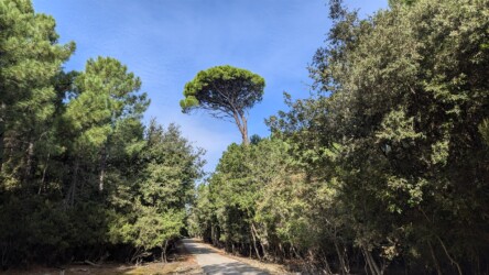 Wanderung auf der Halbinsel Kalifront