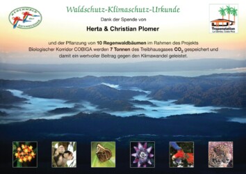 CO₂ Kompensation 2024