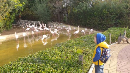 Tierbeobachtung im Zoobotánico Jerez