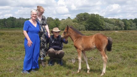 Mit Vicky und Hannah im New Forest NP
