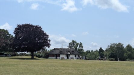 New Forest National Park