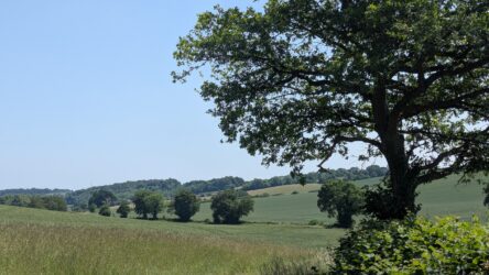 Studley Green Red Kite Walk