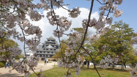 Garten der Burg Okayama