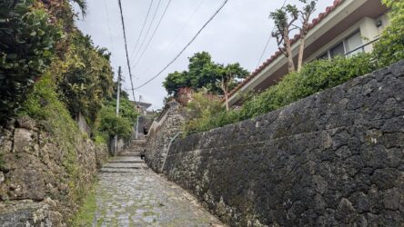 Shuri Kinjo-cho Stone Paved Path