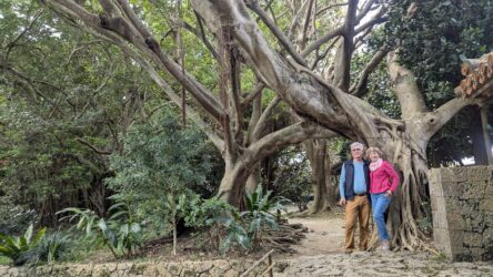 Shikinaen Royal Garden