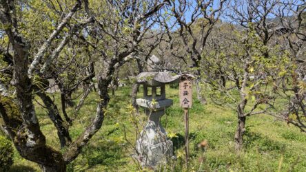 beim Dazaifu Tenman-gū