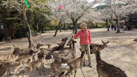 Viele neue hungrige Freunde