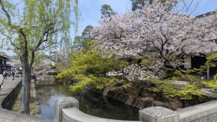 Bikan Historical Quarter