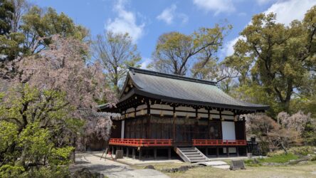 Garten des Kitano-tenmangu Schrein