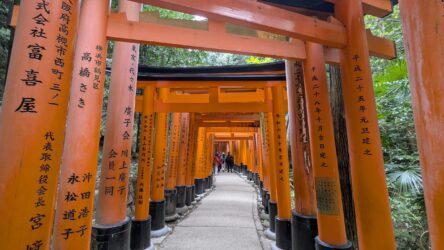 Toriis, Fushimi Inari-Taisha