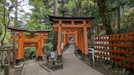 Torii-gesäumter Weg zum Gipfel