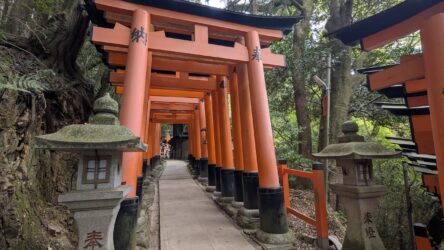 Toriis, Fushimi Inari-Taisha
