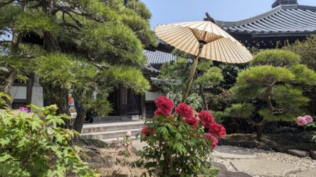 Hase-dera Tempelgarten