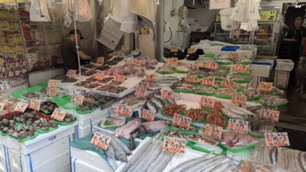 Ueno Ameyoko Shopping Street