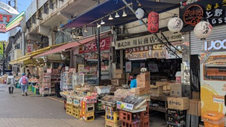Ueno Ameyoko Shopping Street