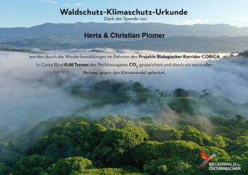 CO2 Kompensation 2025 15 Bäume