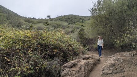 Wanderung Erjos-Monte de Agua im Teno Gebirge