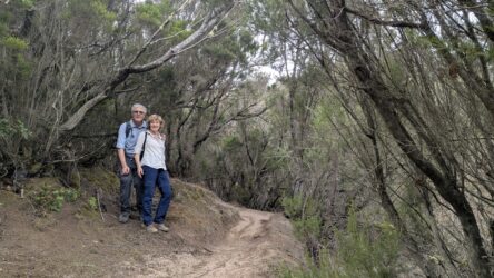 Wanderung Parque Rural de Teno