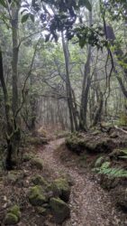 Parque Rural de Teno