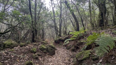 Parque Rural de Teno