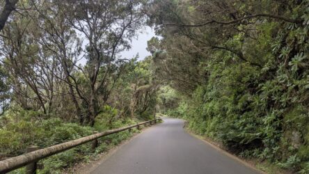 Unterwegs im Anaga-Gebirge