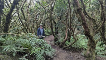 unterwegs zum Mirador Cabezo de Tejo