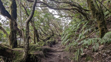 Rückweg nach La Ensillada