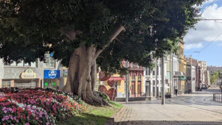 Santa Cruz de Tenerife