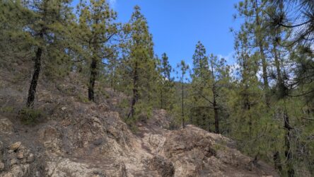 Aufstieg zum Montaña Rica