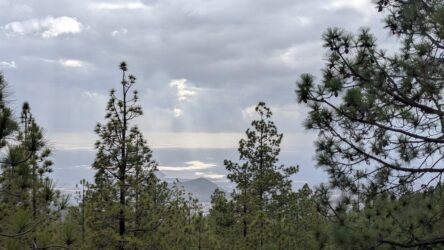 Wanderung Montaña Rica–Montaña Colorada