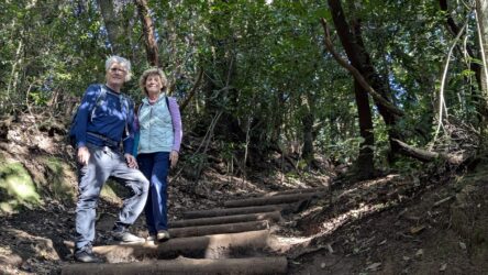 Wanderung Bosque de Los Enigmas